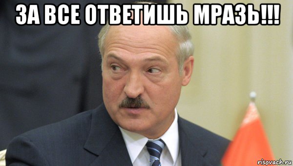 за все ответишь мразь!!! , Мем Лукашенко
