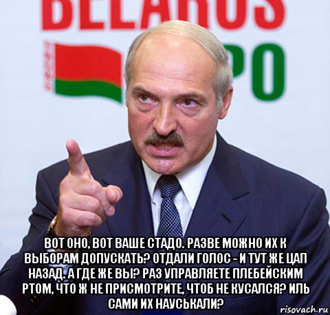  вот оно, вот ваше стадо. разве можно их к выборам допускать? отдали голос - и тут же цап назад. а где же вы? раз управляете плебейским ртом, что ж не присмотрите, чтоб не кусался? иль сами их науськали?