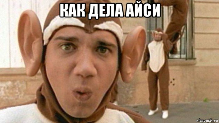 как дела айси , Мем Monkeys