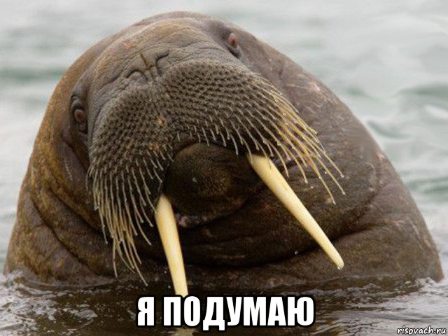 я подумаю
