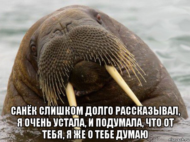  санёк слишком долго рассказывал, я очень устала, и подумала, что от тебя, я же о тебе думаю