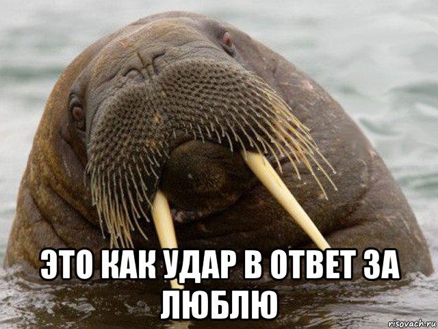  это как удар в ответ за люблю
