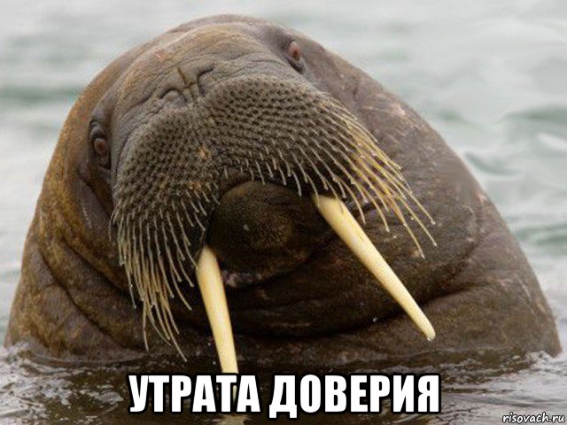  утрата доверия
