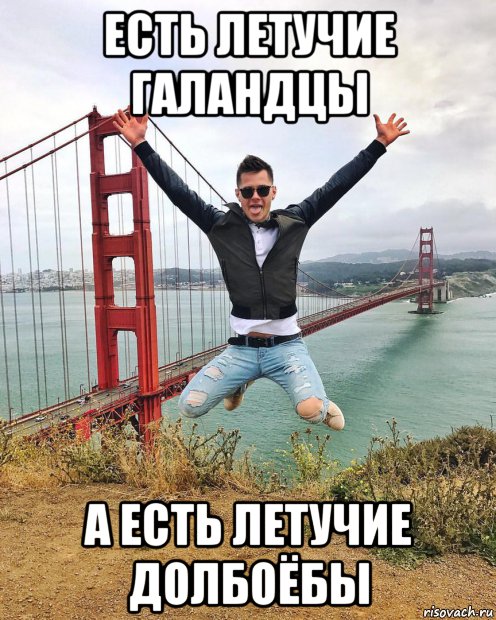 есть летучие галандцы а есть летучие долбоёбы, Мем Мудильный полетчик