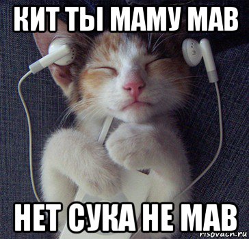 кит ты маму мав нет сука не мав