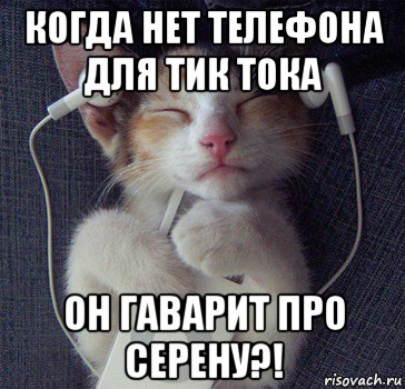когда нет телефона для тик тока он гаварит про серену?!