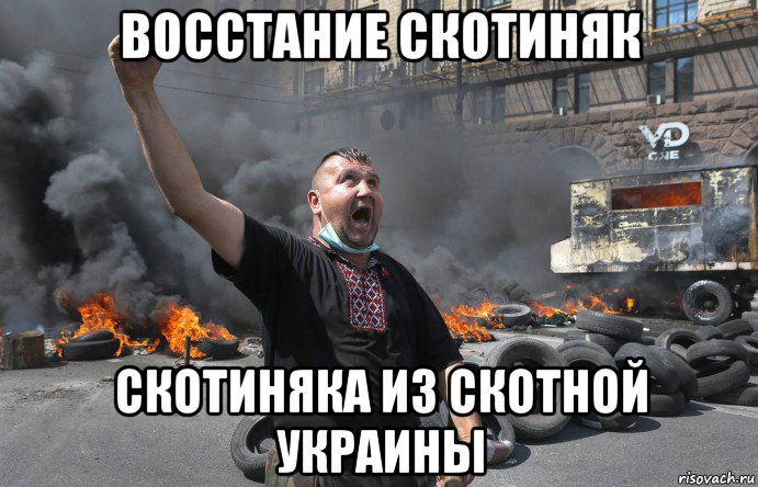 восстание скотиняк скотиняка из скотной украины, Мем НА майдан