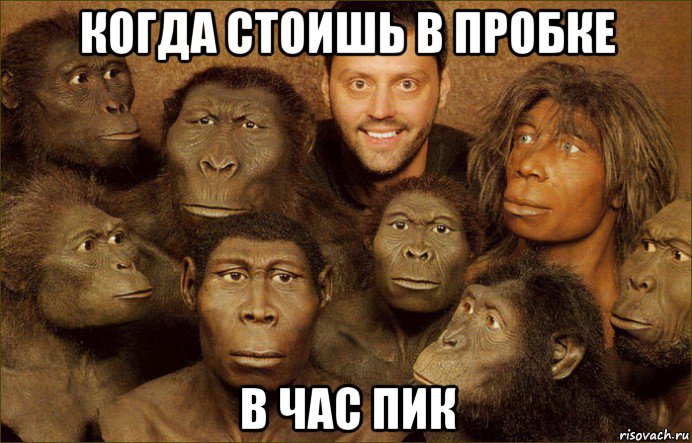 когда стоишь в пробке в час пик, Мем Народ