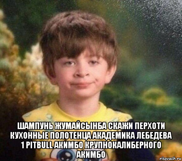  шампунь жумайсынба скажи перхоти кухонные полотенца академика лебедева 1 pitbull акимбо крупнокалиберного акимбо, Мем Недовольный пацан