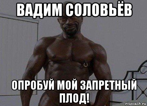 вадим соловьёв опробуй мой запретный плод!