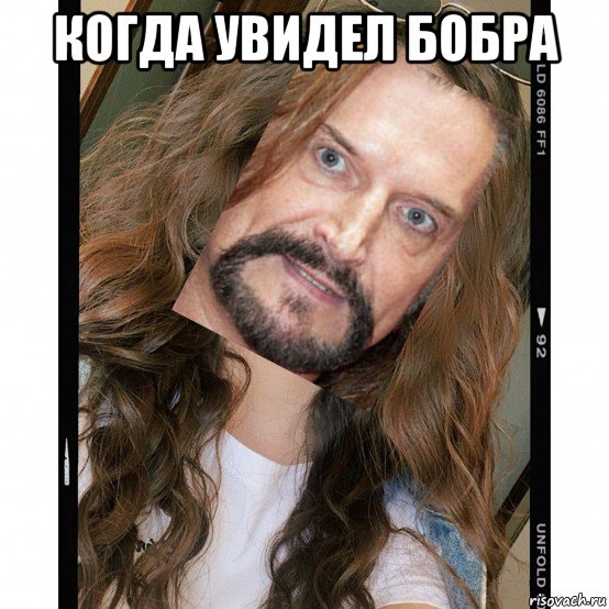 когда увидел бобра 