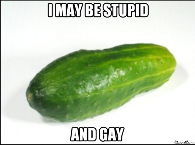i may be stupid and gay, Мем Огурец