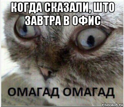 когда сказали, што завтра в офис 