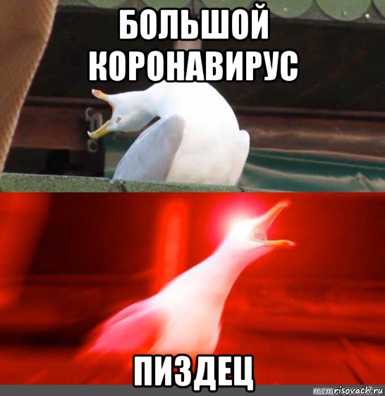 большой коронавирус пиздец
