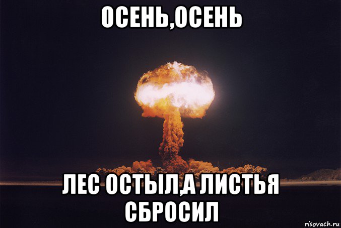осень,осень лес остыл,а листья сбросил, Мем Осеньосень