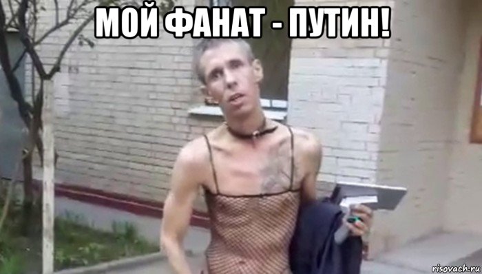 мой фанат - путин! , Мем Панин