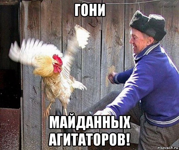 гони майданных агитаторов!