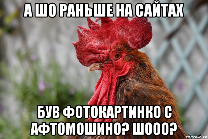 а шо раньше на сайтах був фотокартинко с афтомошино? шооо?, Мем Петух припёклый