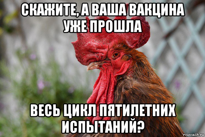 скажите, а ваша вакцина уже прошла весь цикл пятилетних испытаний?, Мем Петух припёклый