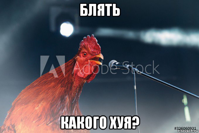 блять какого хуя?, Мем Петух раскукарекался дали микрофон