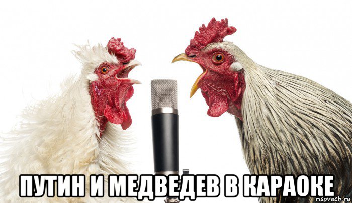  путин и медведев в караоке, Мем Петухи раскукарекались
