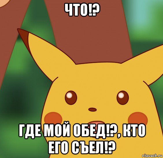 что!? где мой обед!?, кто его съел!?