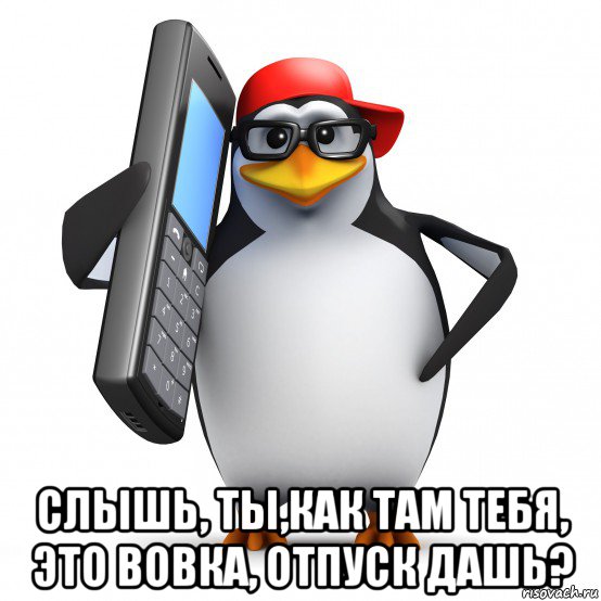  слышь, ты,как там тебя, это вовка, отпуск дашь?, Мем   Пингвин звонит