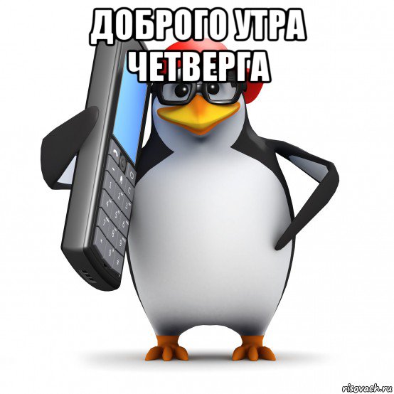 доброго утра четверга , Мем   Пингвин звонит