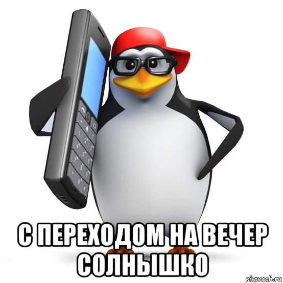  с переходом на вечер солнышко, Мем   Пингвин звонит