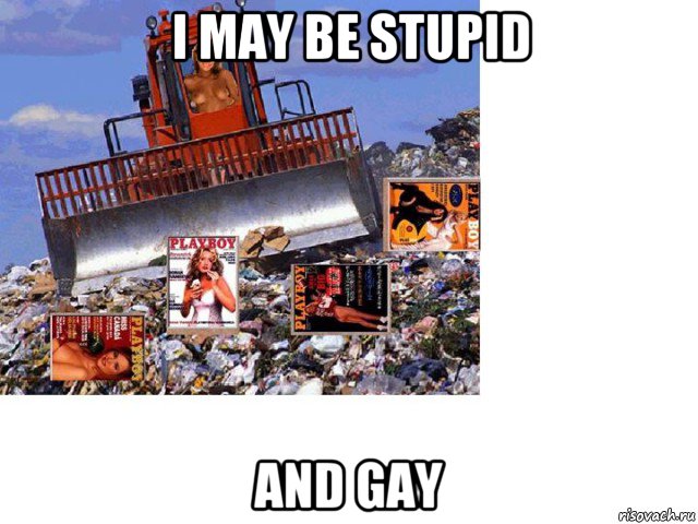 i may be stupid and gay, Мем По форме