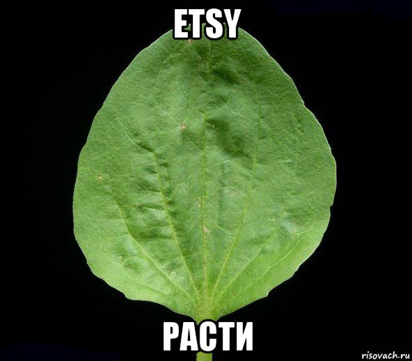 etsy расти
