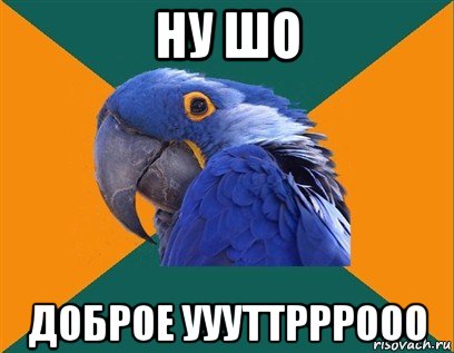 ну шо доброе уууттрррооо, Мем Попугай параноик