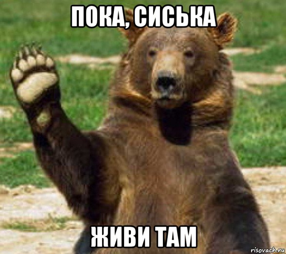 пока, сиська живи там, Мем прощайте