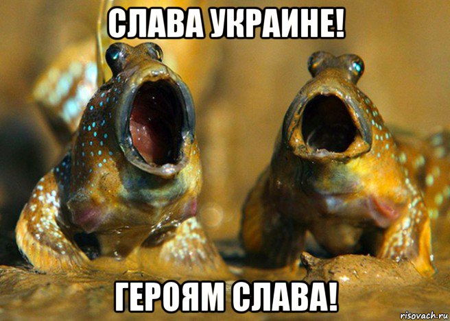 слава украине! героям слава!, Мем Прыгуны