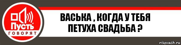 ВАСЬКА , КОГДА У ТЕБЯ ПЕТУХА СВАДЬБА ?, Комикс   пусть говорят