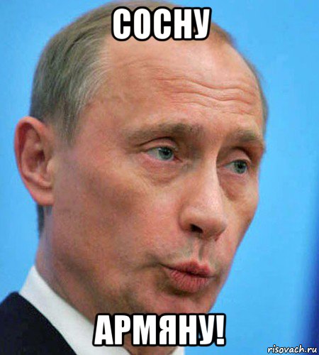 сосну армяну!
