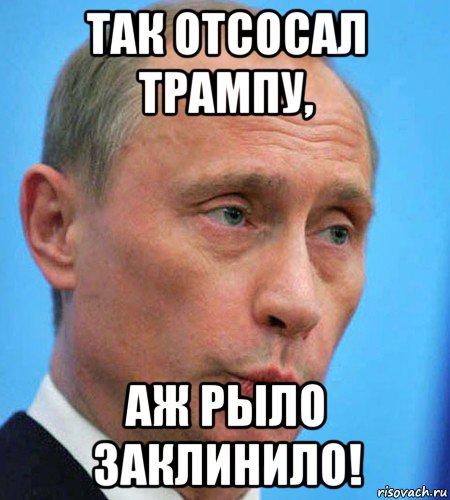 так отсосал трампу, аж рыло заклинило!