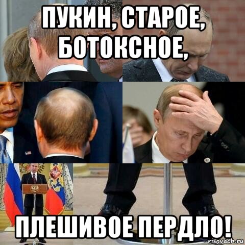 пукин, старое, ботоксное, плешивое пердло!, Мем Путин