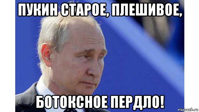 пукин старое, плешивое, ботоксное пердло!