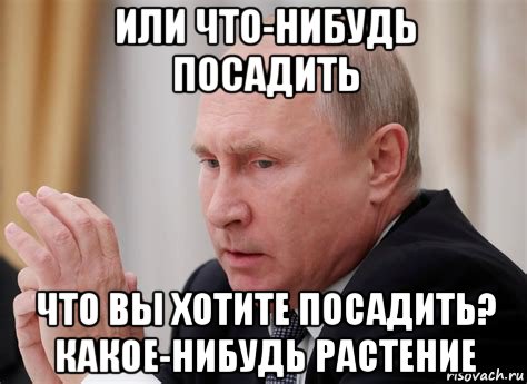 или что-нибудь посадить что вы хотите посадить? какое-нибудь растение, Мем Путин
