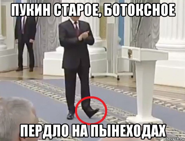 пукин старое, ботоксное пердло на пынеходах
