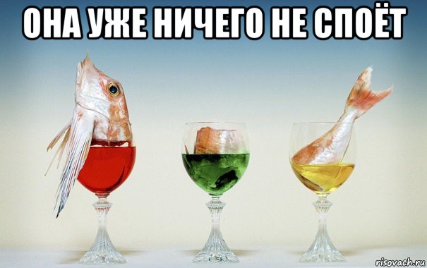 она уже ничего не споёт , Мем Пьяная рыба решила спеть