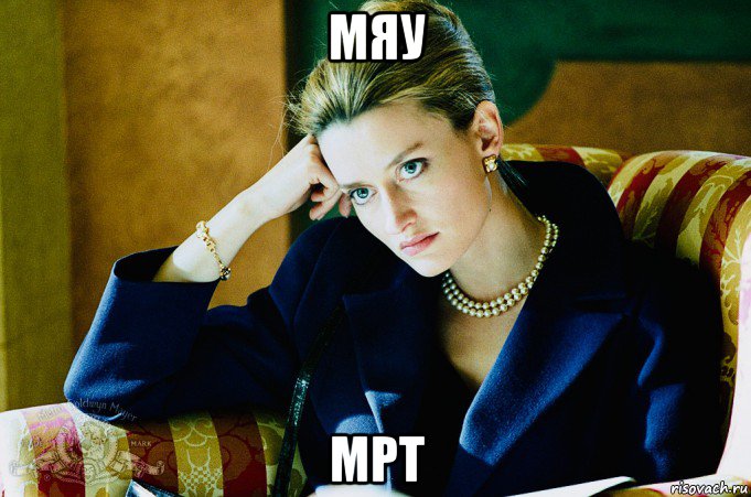 мяу мрт, Мем Ронин 1998