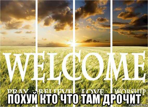  похуй кто что там дрочит, Мем Ржаное поле