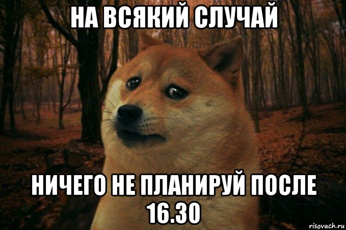 на всякий случай ничего не планируй после 16.30, Мем SAD DOGE