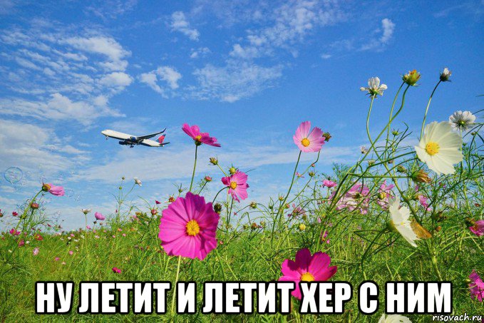  ну летит и летит хер с ним, Мем Самолёт летит