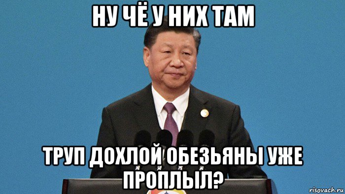 ну чё у них там труп дохлой обезьяны уже проплыл?, Мем Си