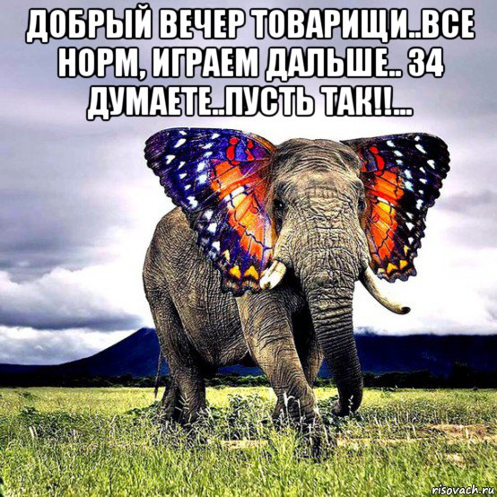 добрый вечер товарищи..все норм, играем дальше.. 34 думаете..пусть так!!... , Мем Слон мем
