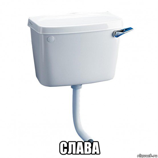  слава, Мем Сметана сливной бвчок