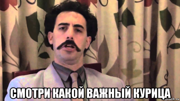  смотри какой важный курица